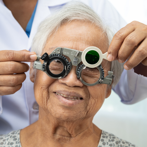 Vision Once Lost… Stays Lost